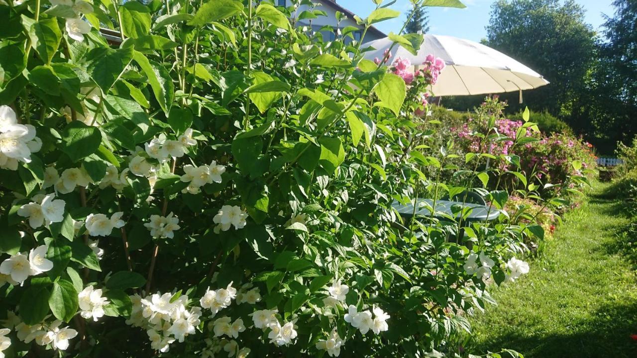Apartmany U Lipno Frymburk Buitenkant foto