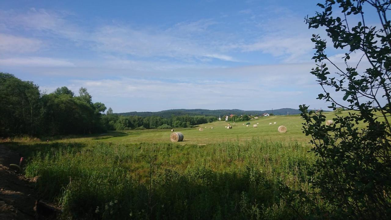 Apartmany U Lipno Frymburk Buitenkant foto