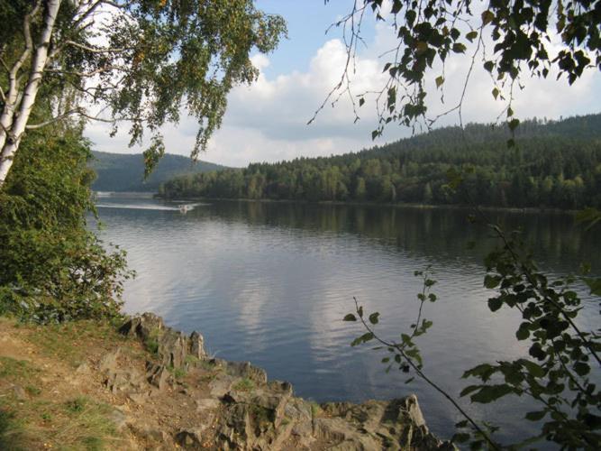 Apartmany U Lipno Frymburk Buitenkant foto