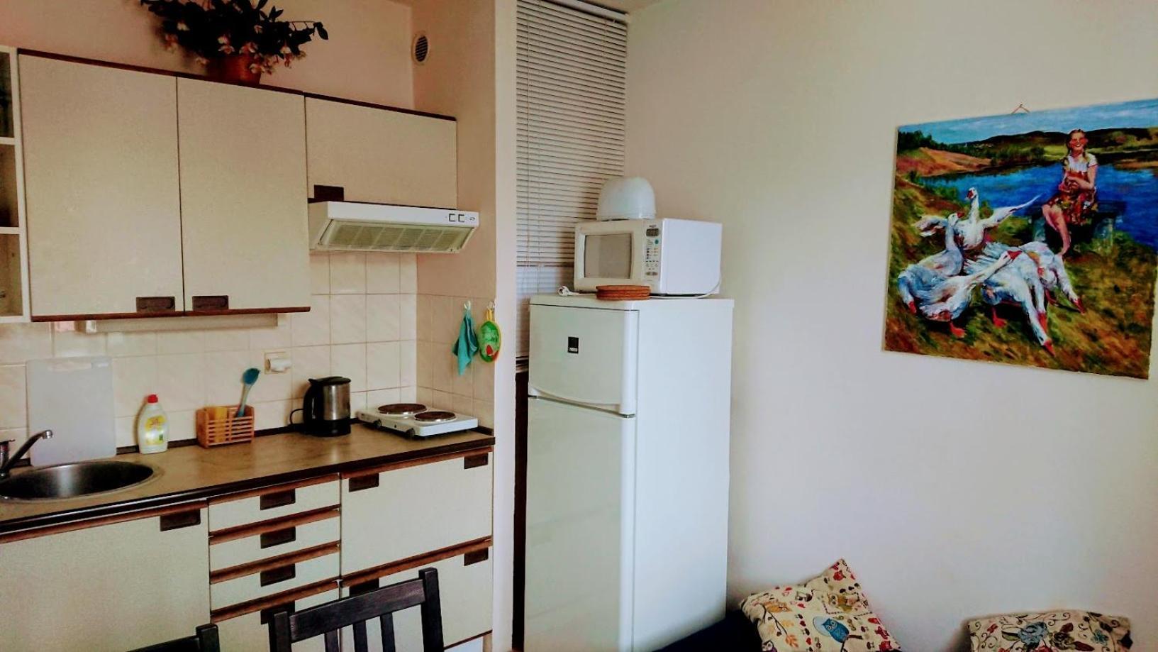 Apartmany U Lipno Frymburk Buitenkant foto
