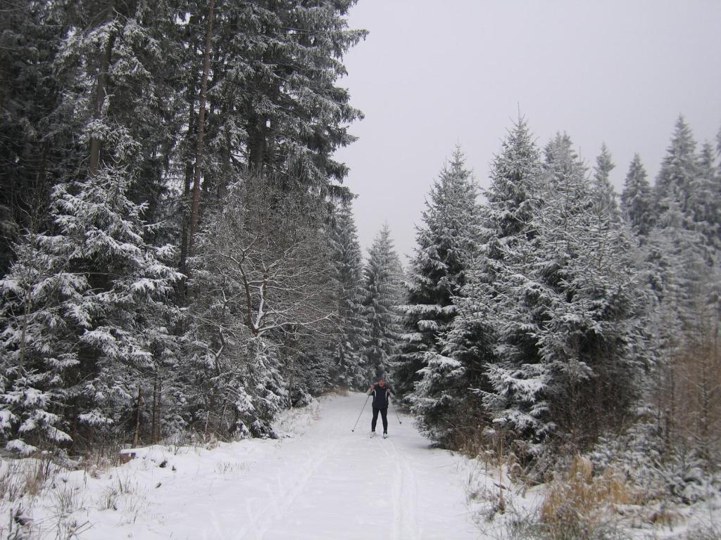Apartmany U Lipno Frymburk Buitenkant foto