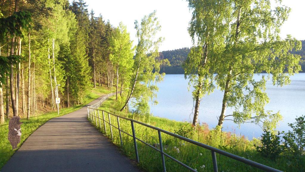 Apartmany U Lipno Frymburk Buitenkant foto