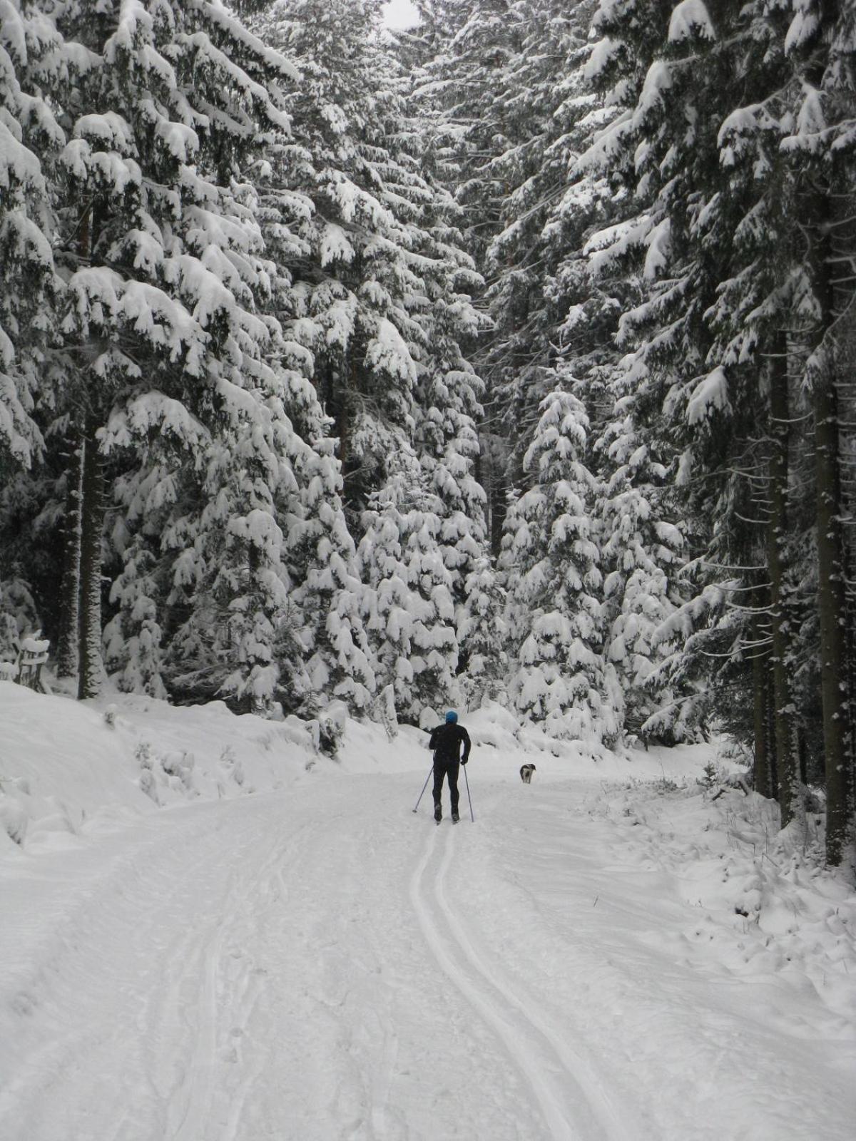 Apartmany U Lipno Frymburk Buitenkant foto