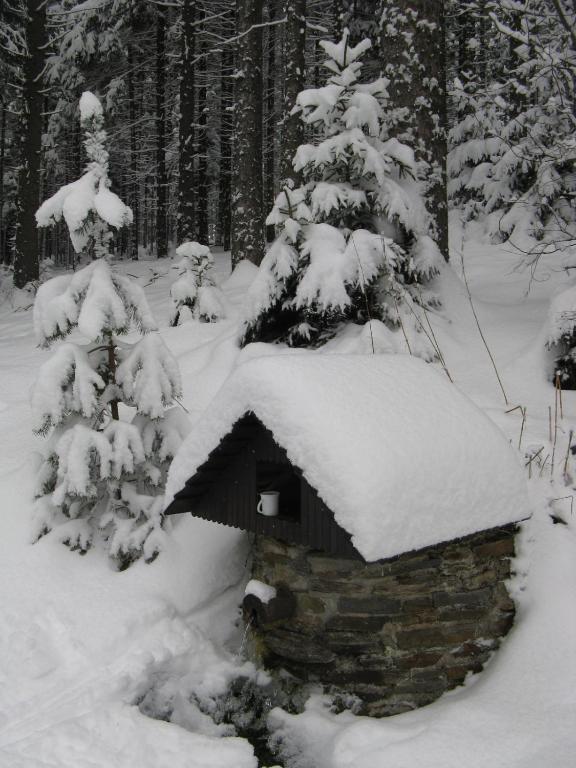 Apartmany U Lipno Frymburk Buitenkant foto