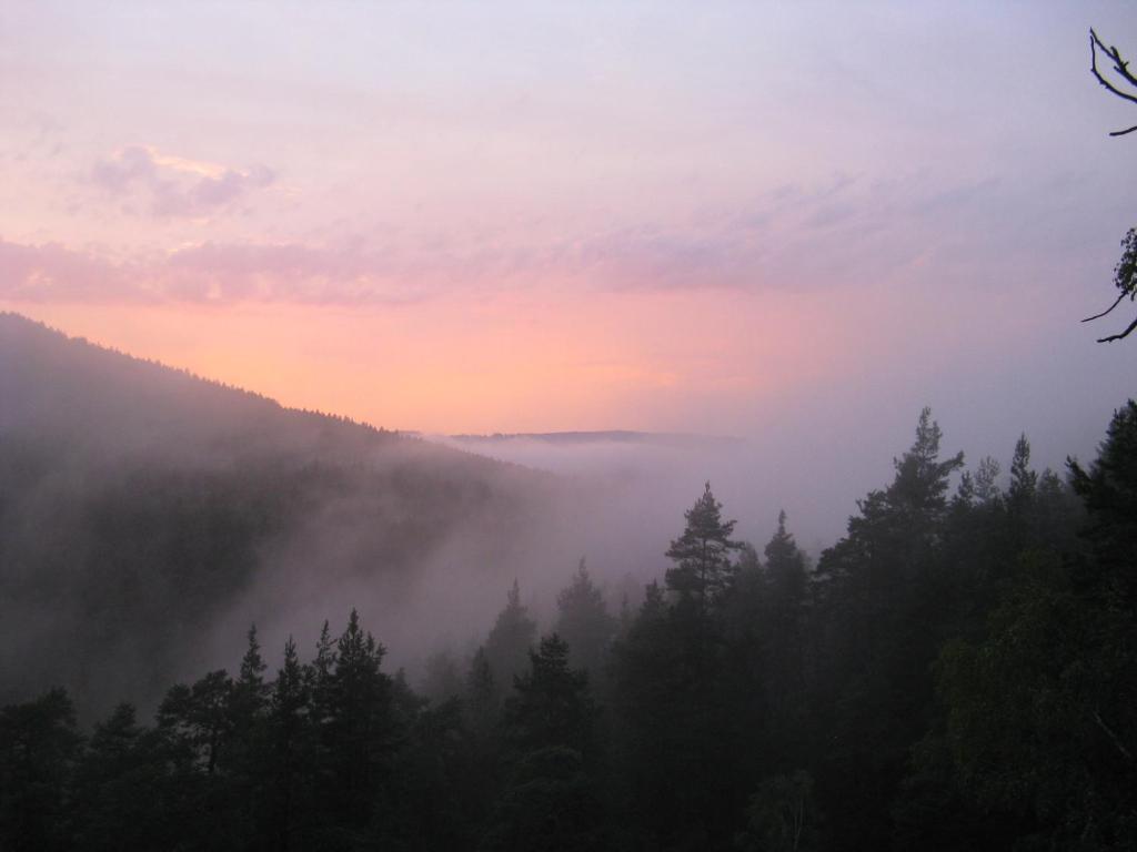 Apartmany U Lipno Frymburk Buitenkant foto
