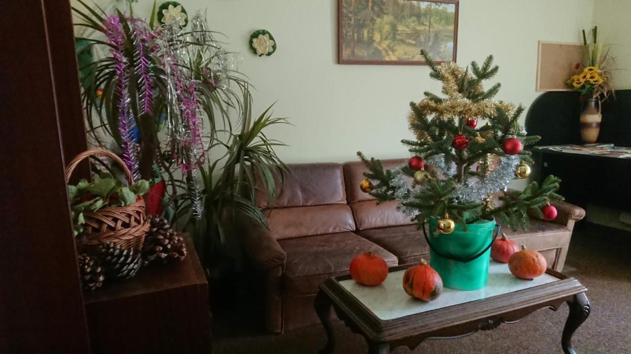 Apartmany U Lipno Frymburk Buitenkant foto